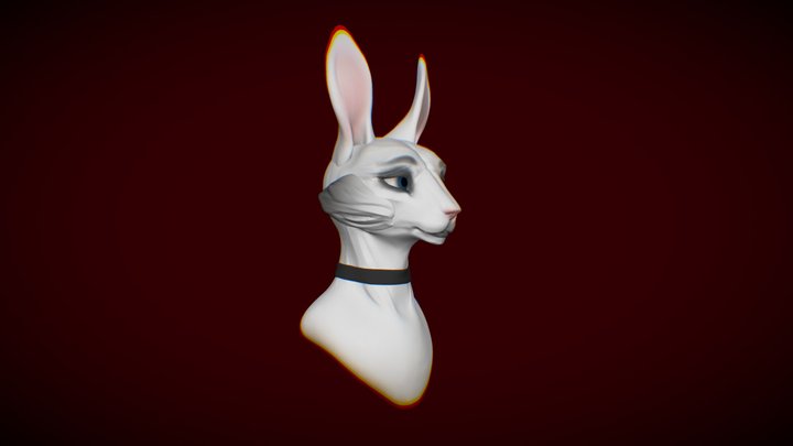 Rabbit girl sketch 3D Model