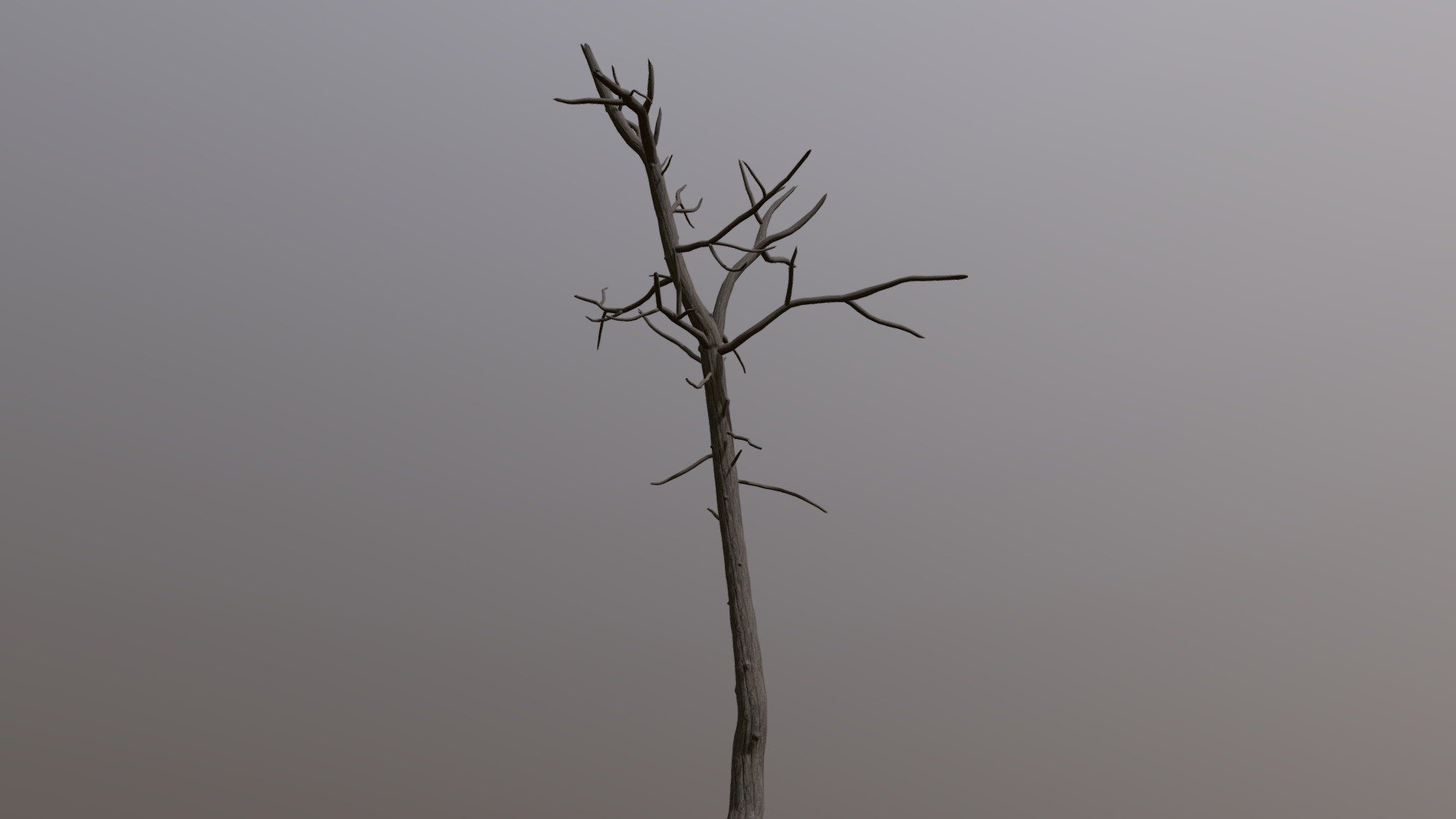 Realistic dead tree game ready asset - 3D model by OleksiyFoliage ...