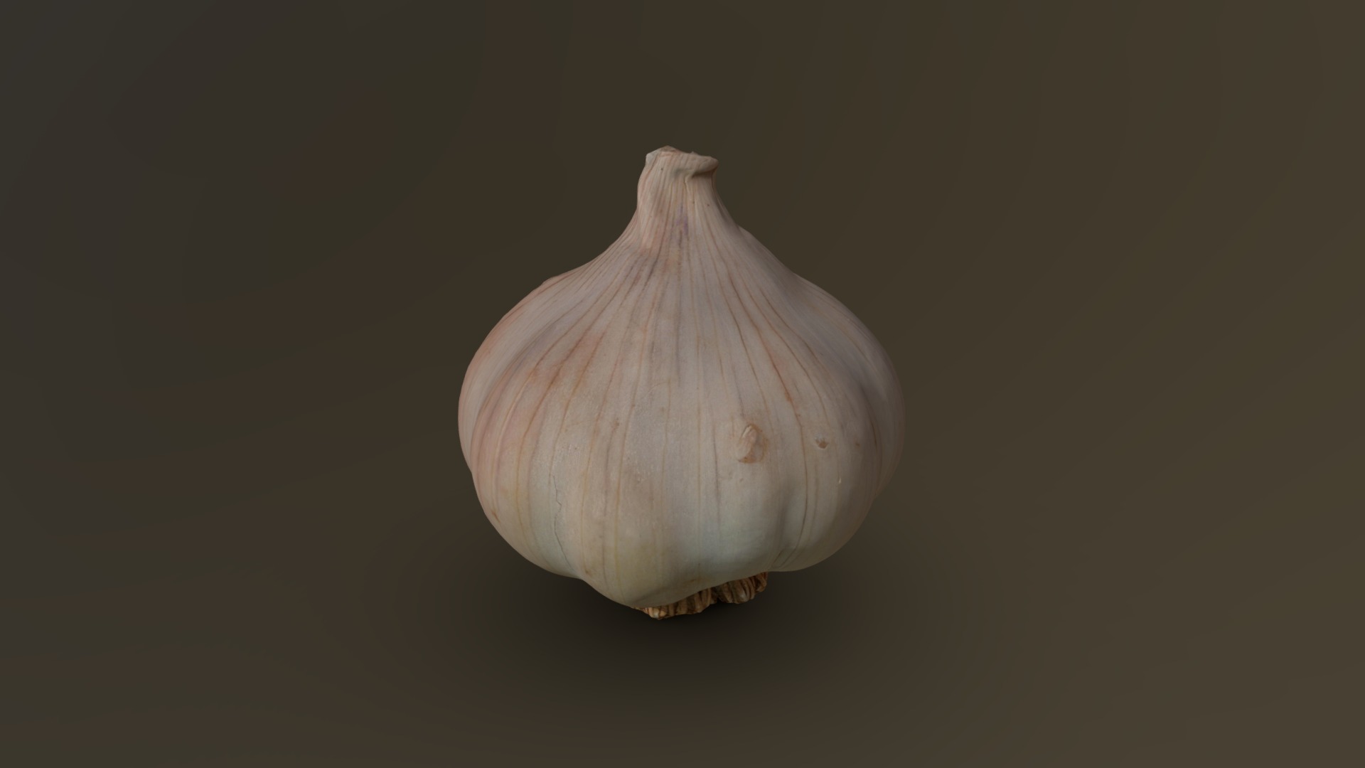 3D model Dried Garlic Head 02 - This is a 3D model of the Dried Garlic Head 02. The 3D model is about a close-up of a snail.