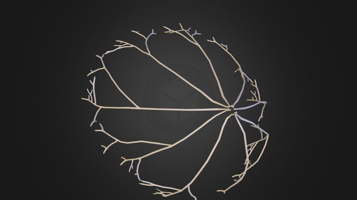 Breast_Suspensory_Ligament.obj 3D Model