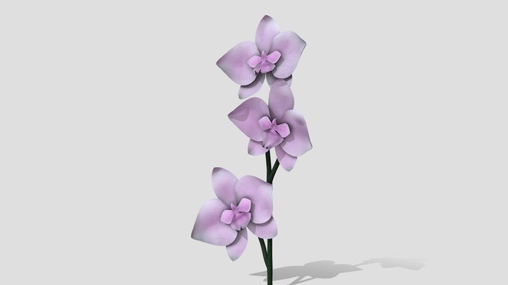 3December2020 | Plant orchid flower