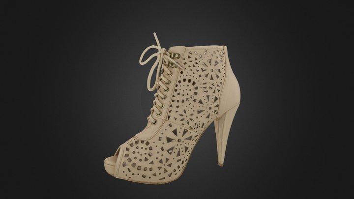 Shoe model 3D Model