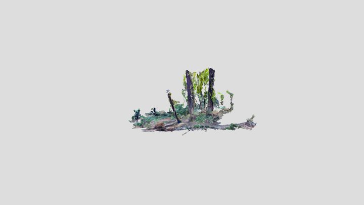treehouse area 2 3D Model