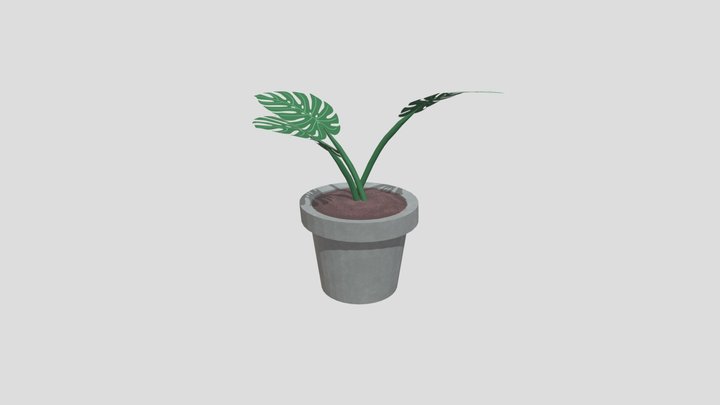 Monstera Plant in flowerpot 3D Model