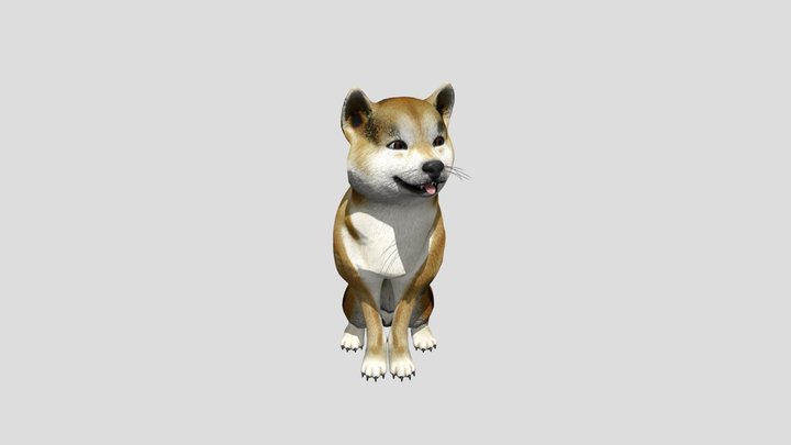 Shiba Inu Dog - Sitting 3D Model