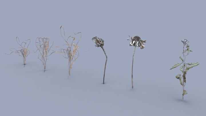 NOS (Slendrina X and Forest) - Download Free 3D model by DVUnit [02ea706] -  Sketchfab