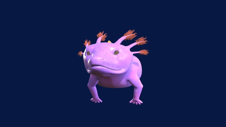 Fairater Swim Cycle 3D Model