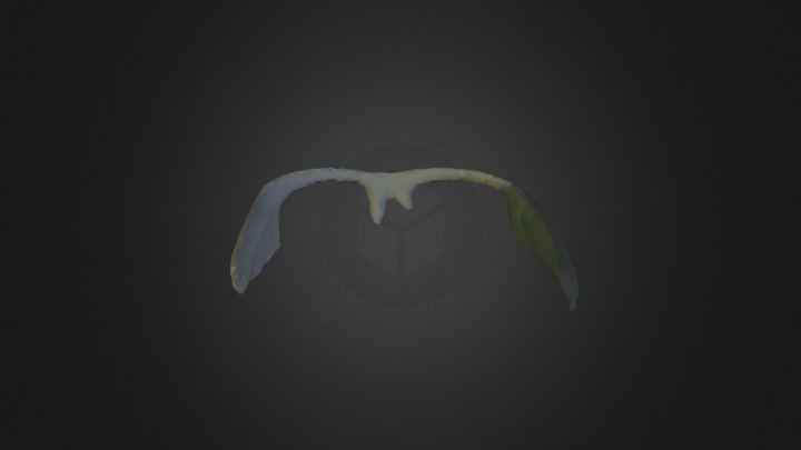 Skanect glasses 2 3D Model