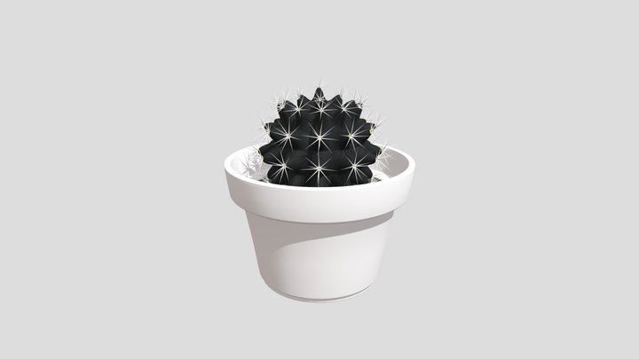 Cactus WHT 3D Model