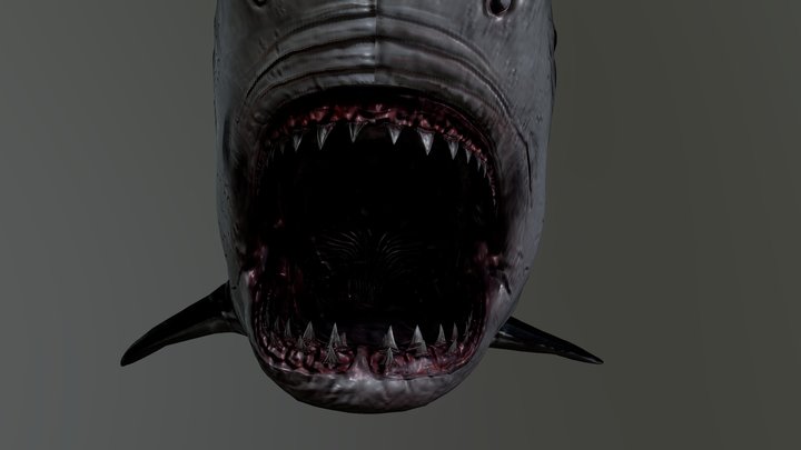 Megalodon 3D Model