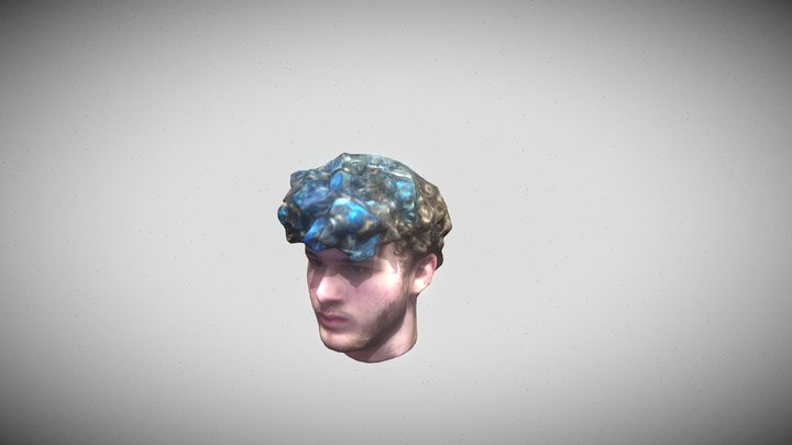 Jmancurly_Head_Updated 3D Model