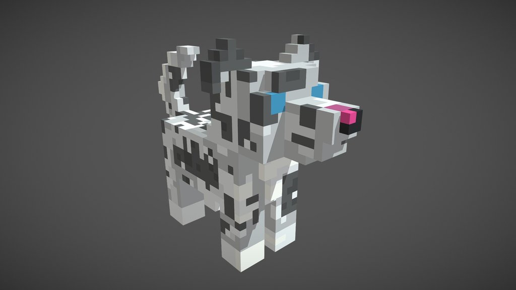 Black and White Dog