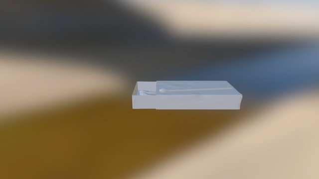 Matchbox With Matches High Poly 3D Model