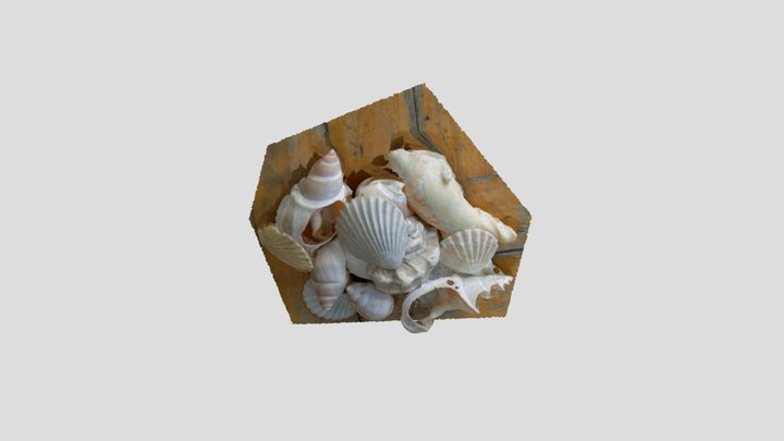 Caracoles 3D Model