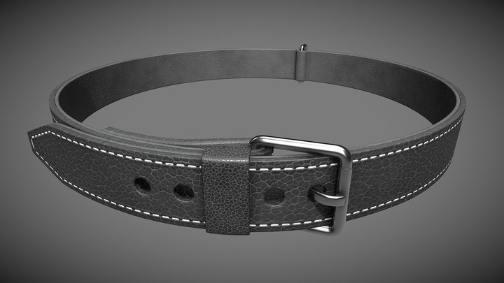 Dog Cat Collar 3D Model
