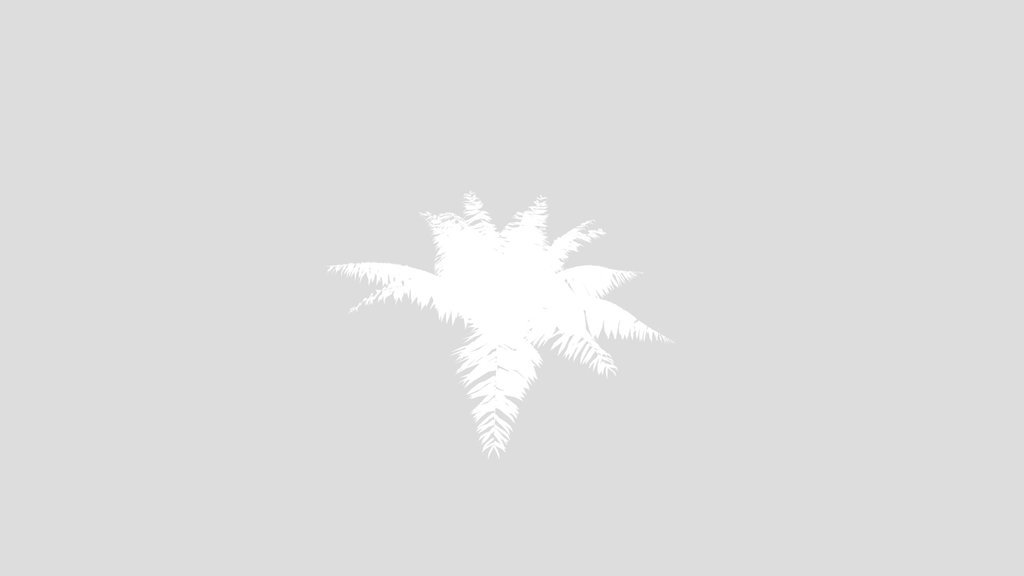 Ostrich Fern