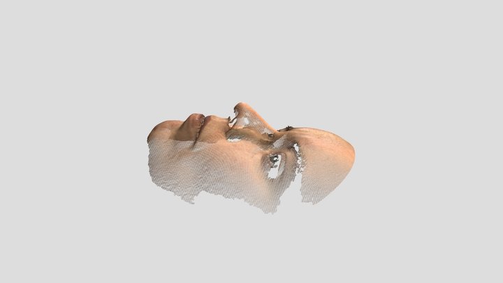 Face scan normalized 3D Model