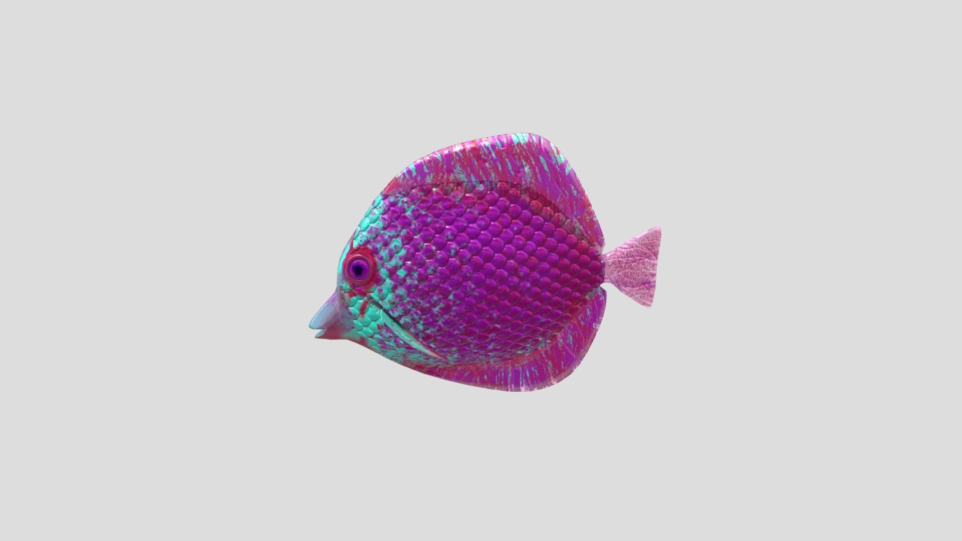 galaxy fish