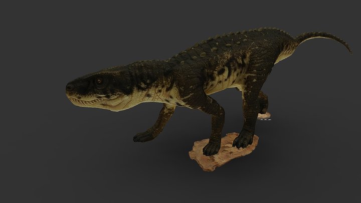 HUELLAS FÓSILES (Arcosaurio; Triásico; Jaén) 3D Model