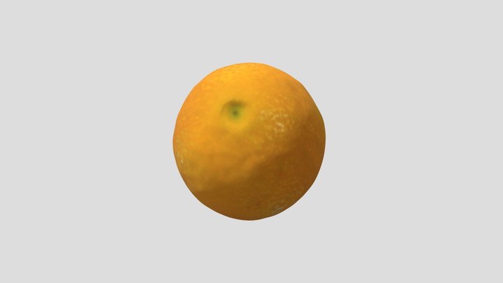 Juicy Orange 3D Model