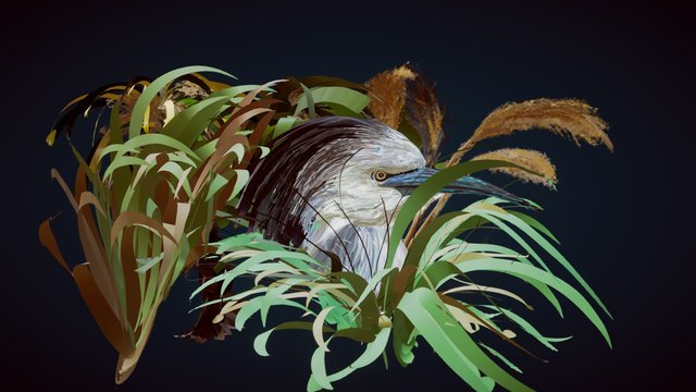PeterShearer White-FacedHeron082016 01 3D Model