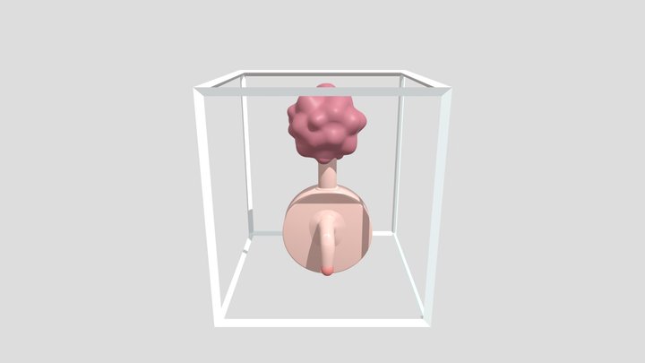Plumbus 3D models - Sketchfab