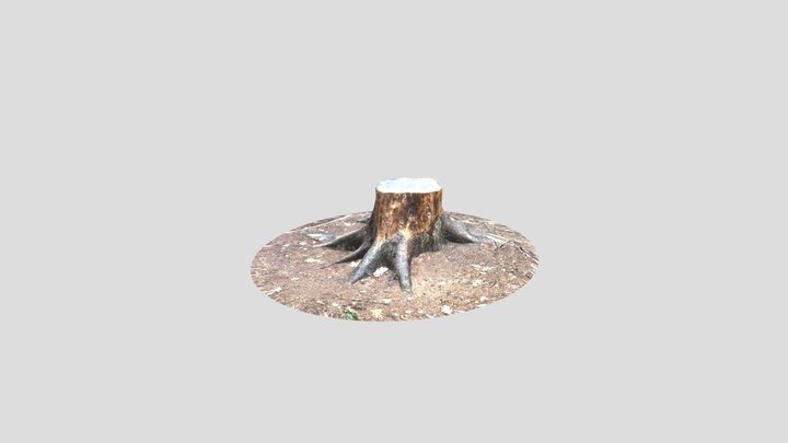 TreeTrunk 3D Model