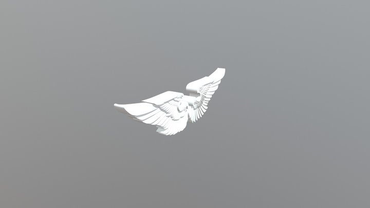 Wings 3D Model