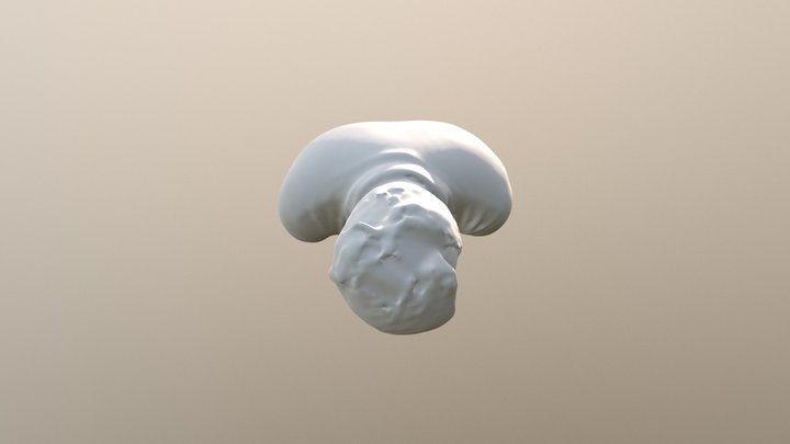 Head 01 3D Model