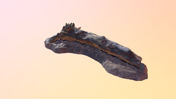 Low Poly Photogrammetry Fallen Tree 01 3D Model