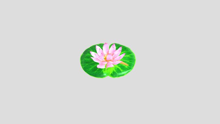 lotus animation 3D Model