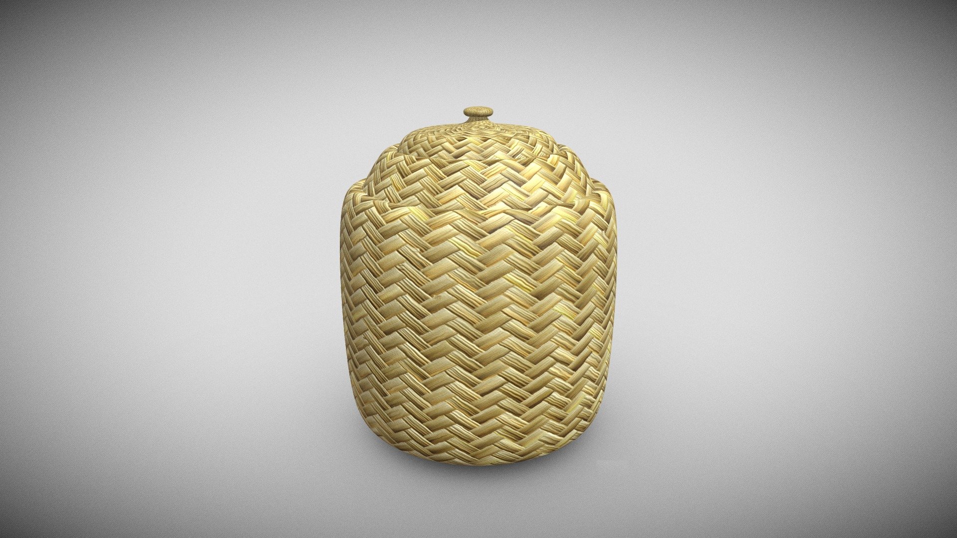 Woven Basket