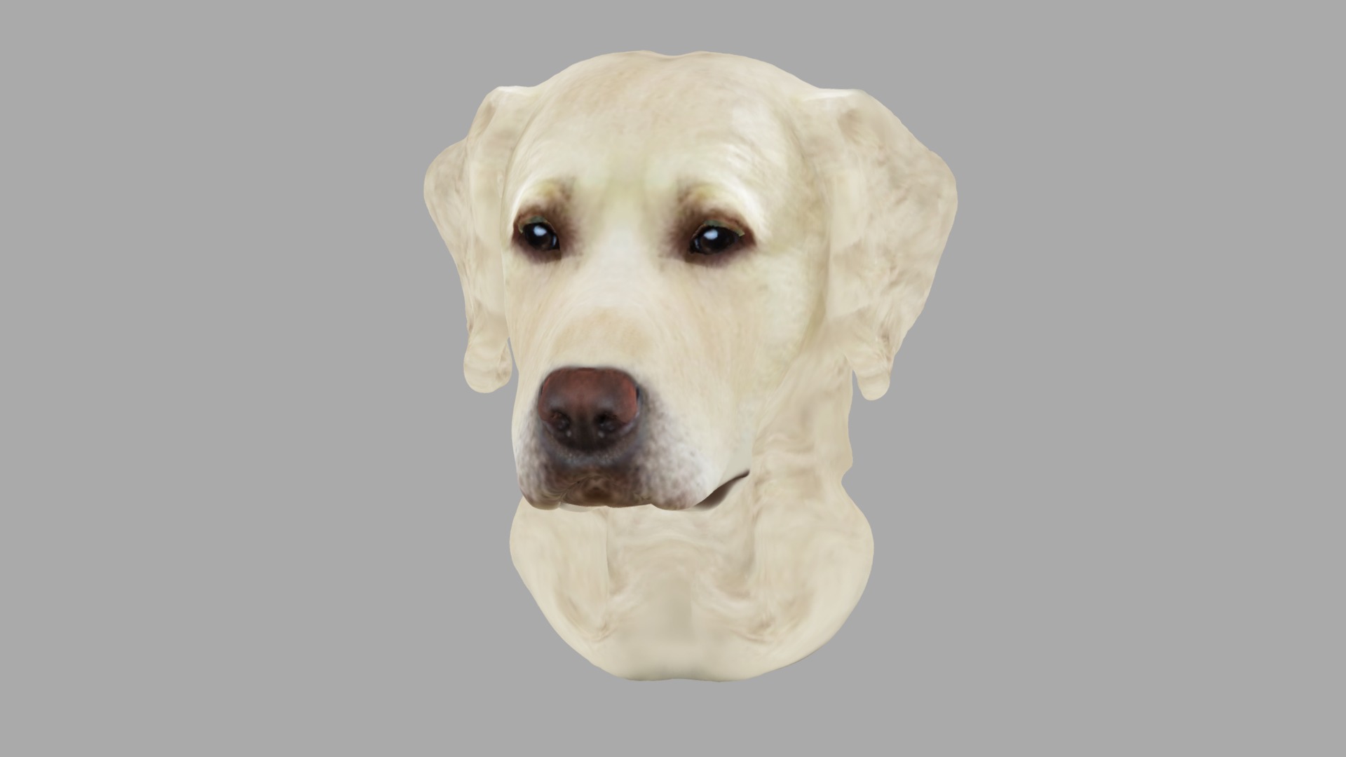 Printable Golden Retriever Wall Mount 15 CM