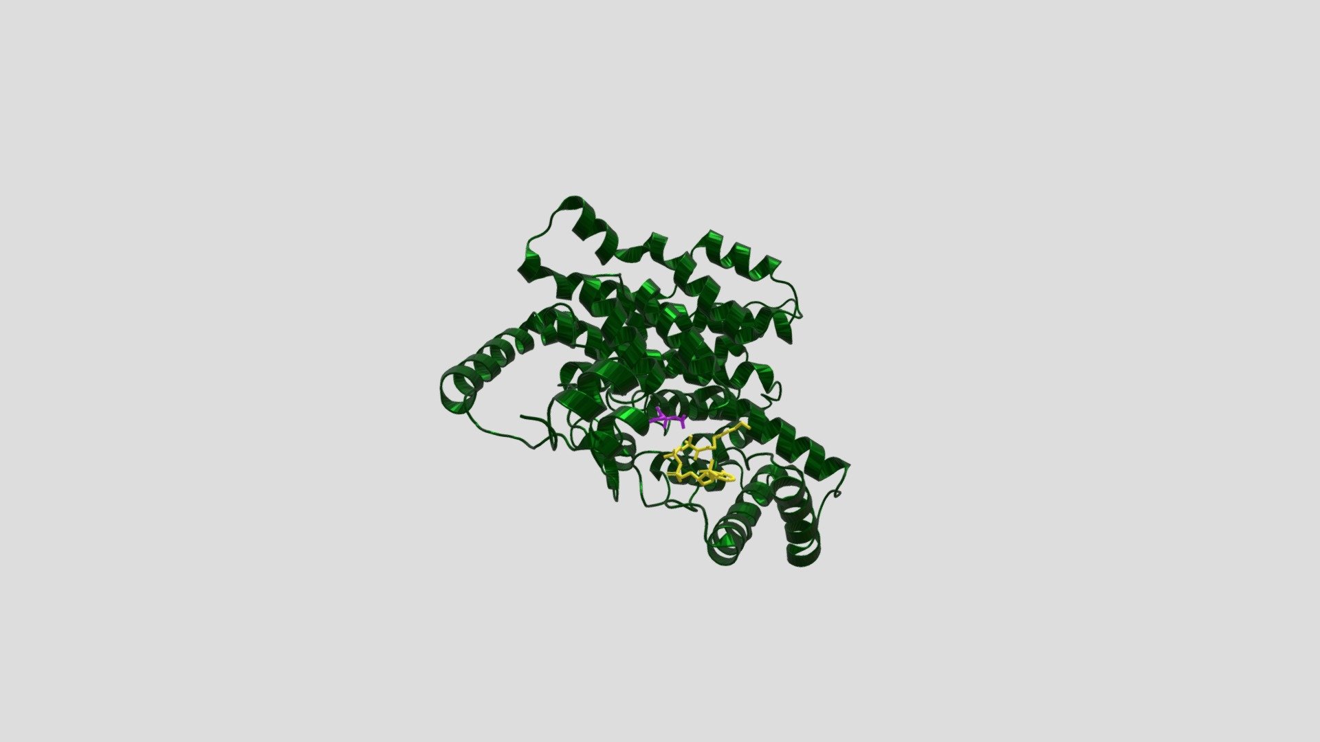 Cytrate Synthase - citric acid cycle