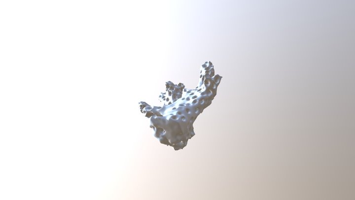 CORAL 3 Merged 3D Model
