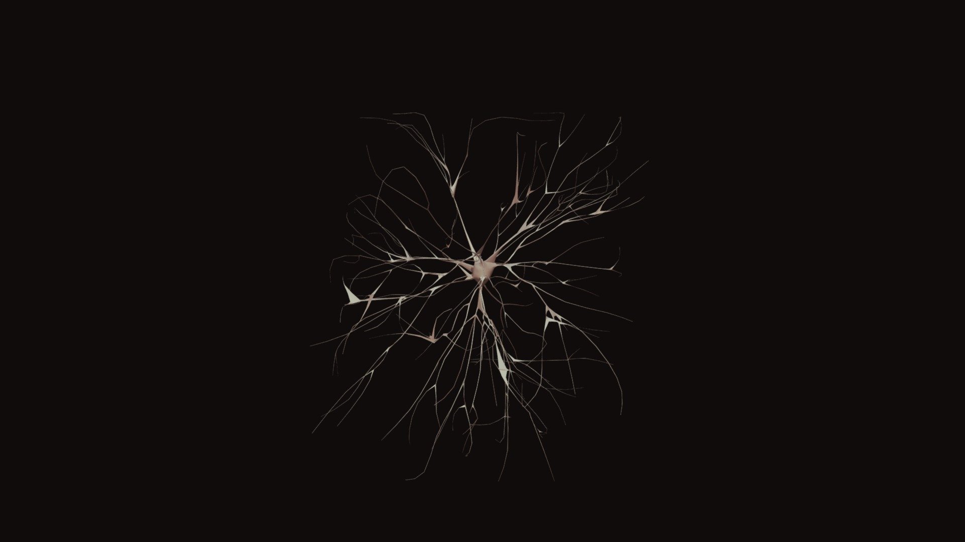 Neuronacat