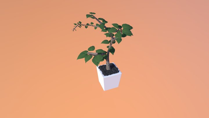 Office Plant 3D Model
