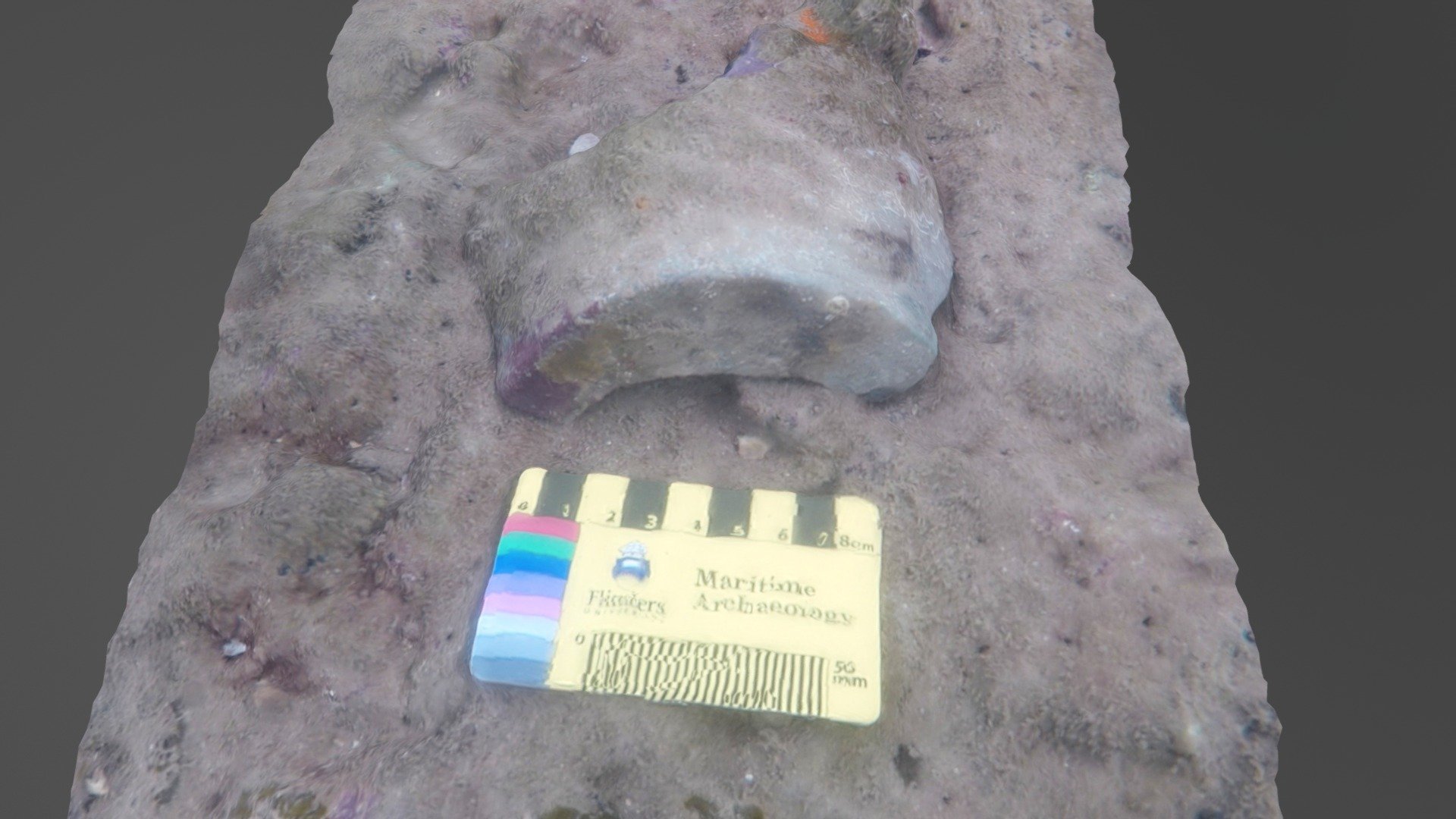 Pottery sherd at Bãi Ông