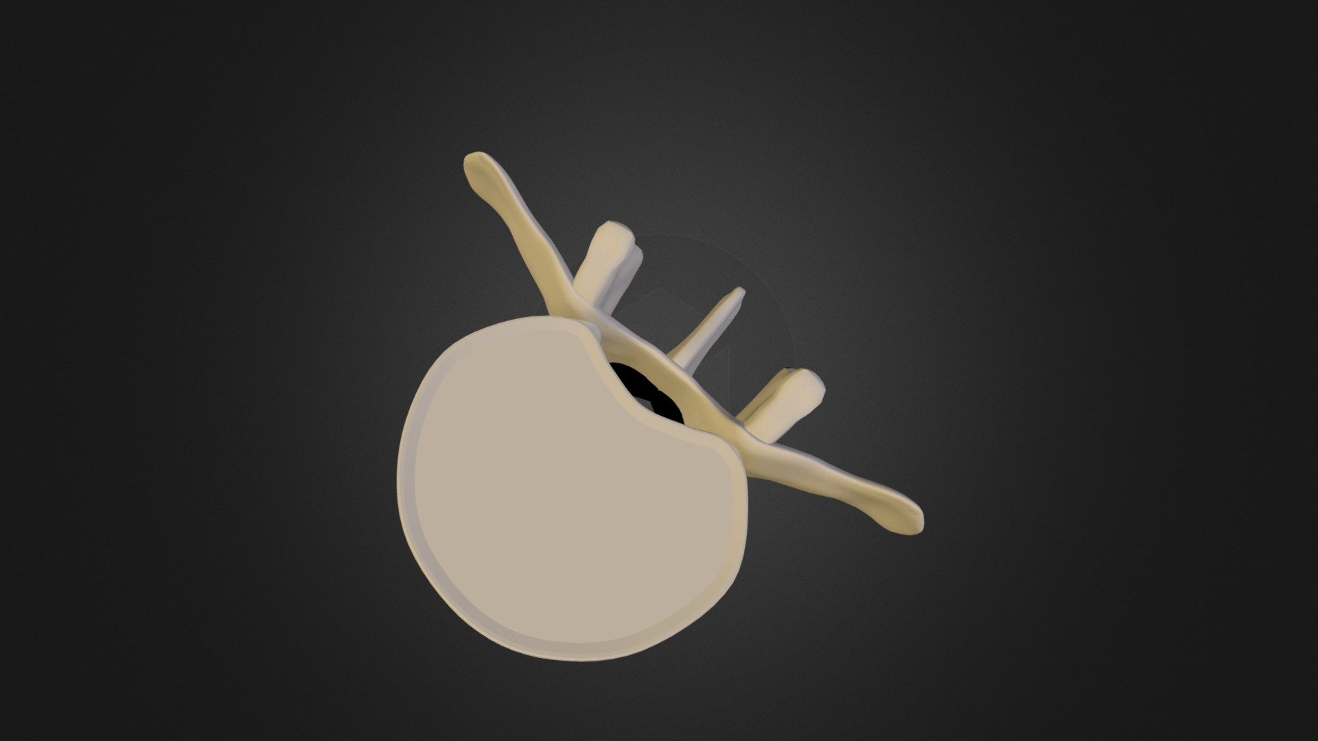 Vertebra (collection of thunthu)