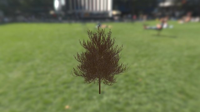 Normal Tree Model 3D Model