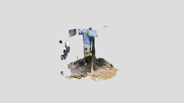 Untitled Scan 3D Model