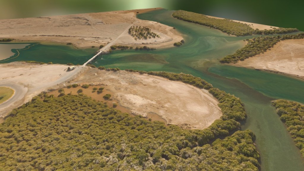 Kalba Mangroves Survey