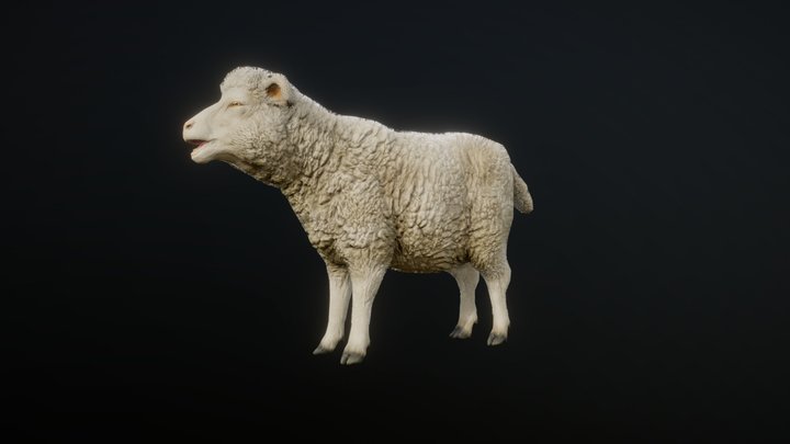 SHEEP ANIMATIONS 3D Model