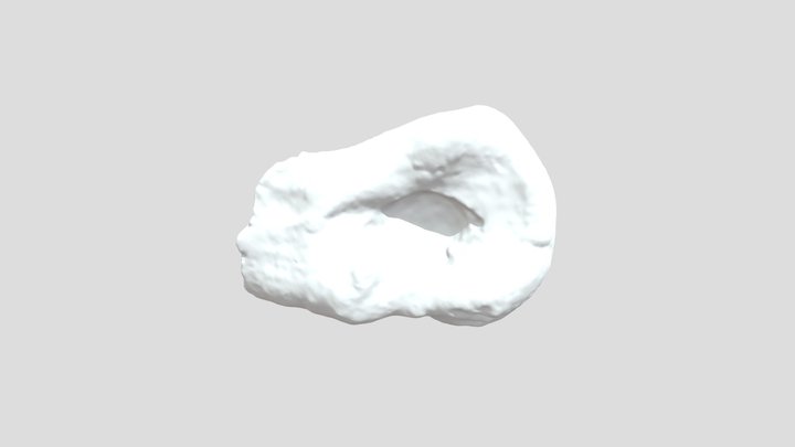 BDM 124, tyrannosaur metatarsal with tooth marks 3D Model