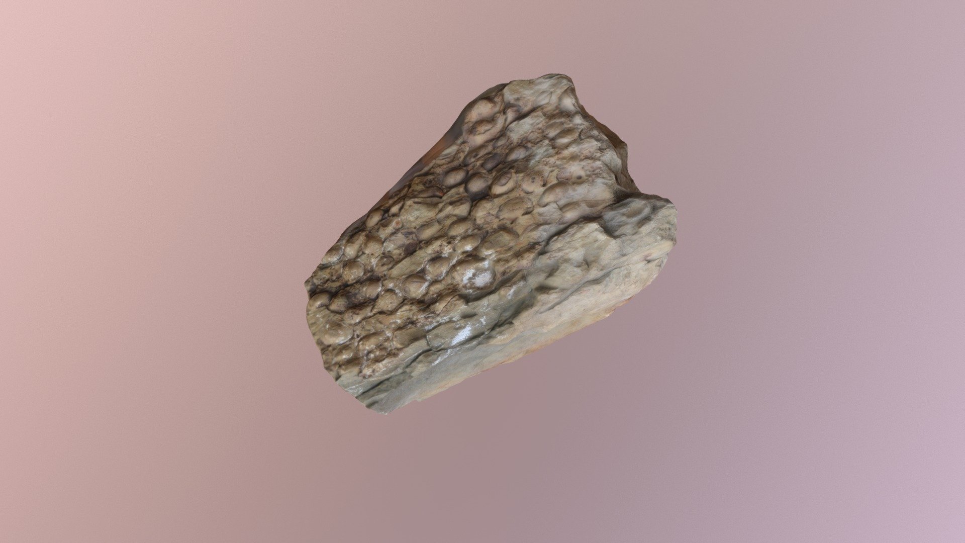 Cleaved Mahantango Formation