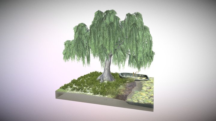 Weeping Willow 3D Model