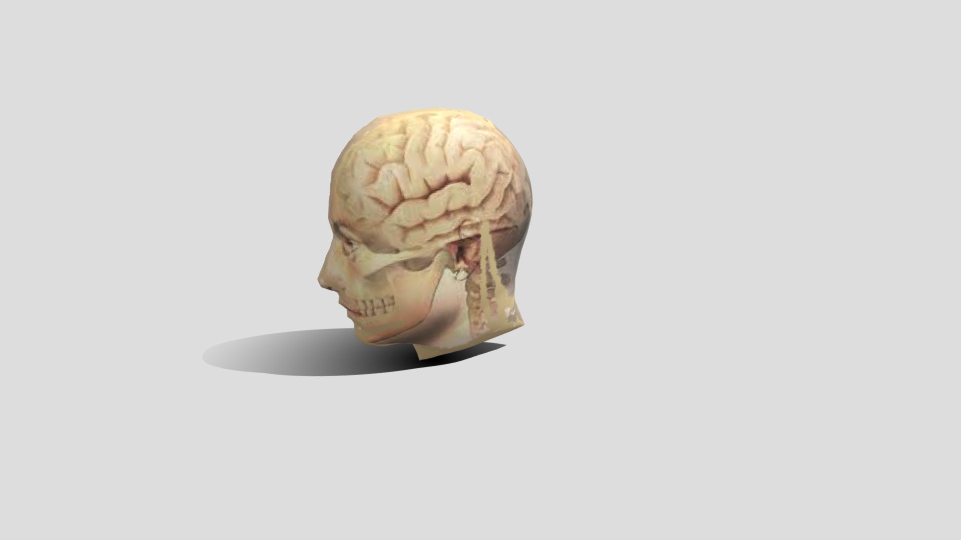 Nala Gambar 3d