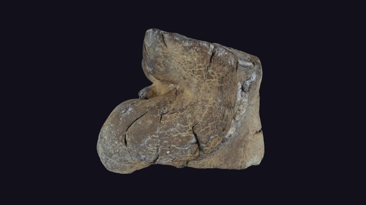 Dino Poop (coprolite). – Modèle 3D gratuit STL