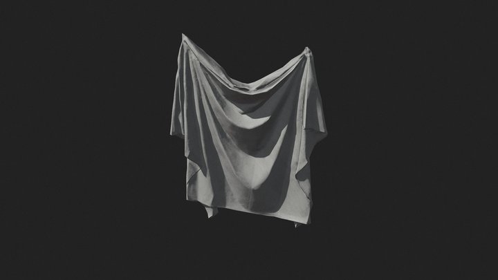 scanned drape 3D Model