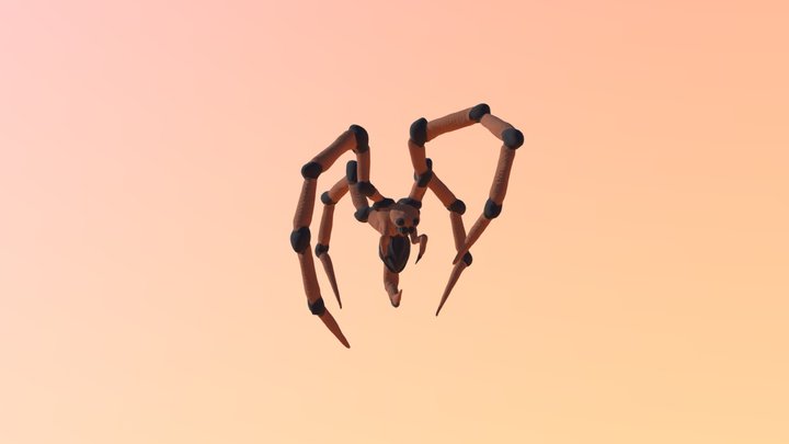 Wincy Wincy 3D Model